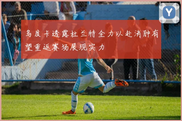乌度卡透露杜兰特全力以赴消肿有望重返赛场展现实力